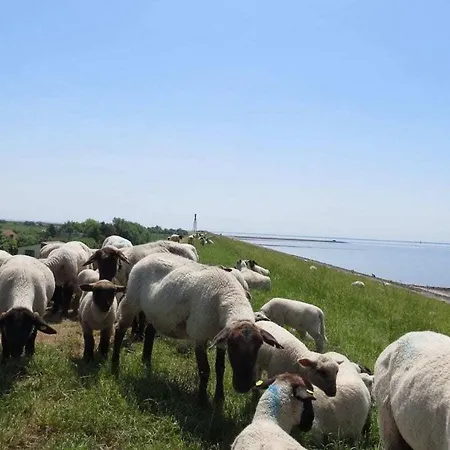 Grand Reverend Deichstern