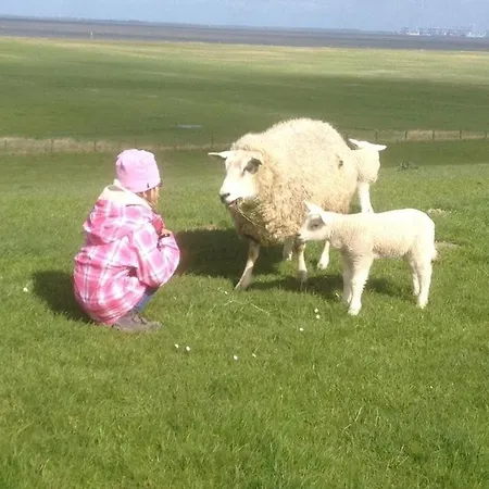 Grand Reverend Deichstern * Grosswurden