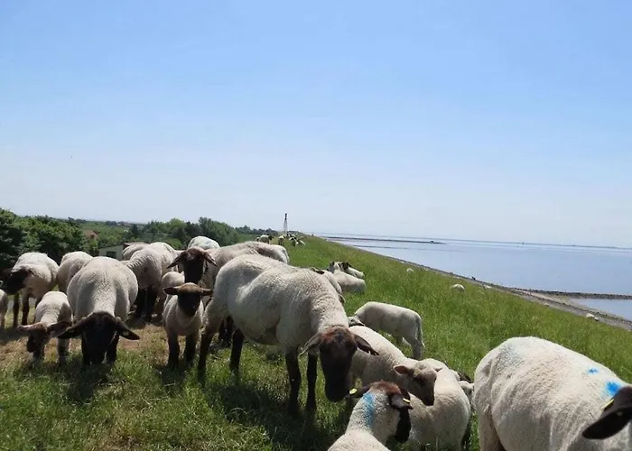 Grand Reverend Deichstern