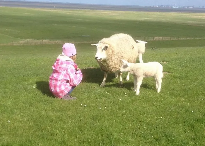 Grand Reverend Deichstern * Grosswurden